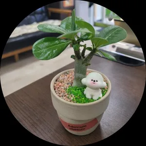 삼성기산부동산공인중개사사무소