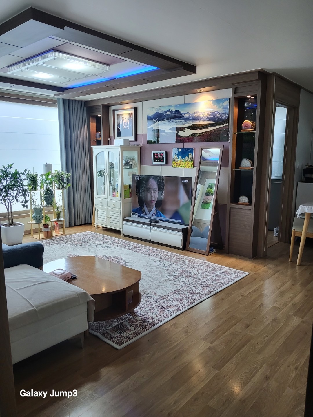 평면도
