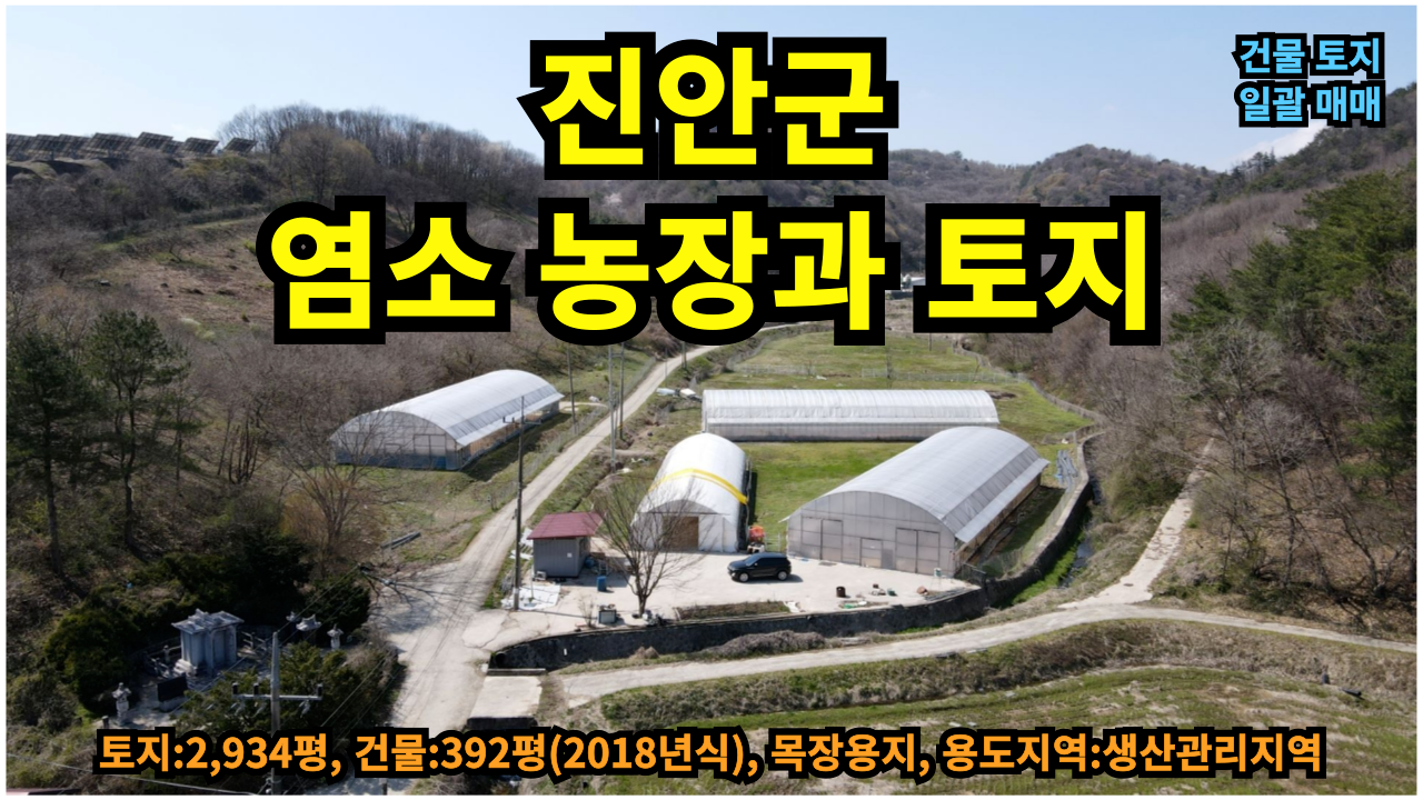 평면도