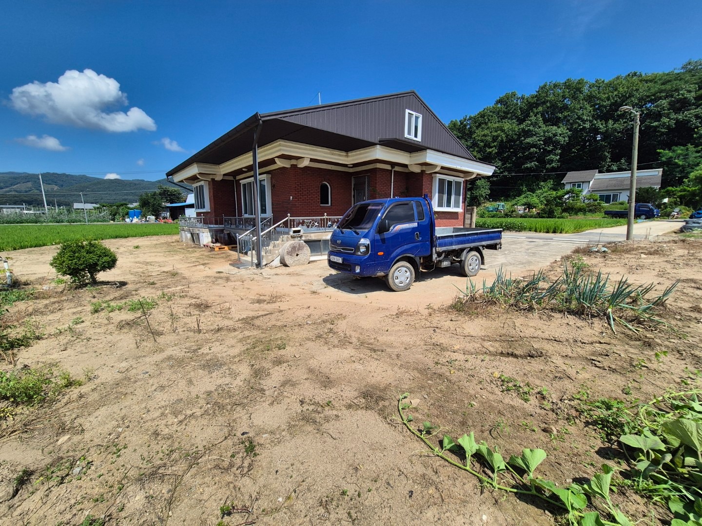 평면도