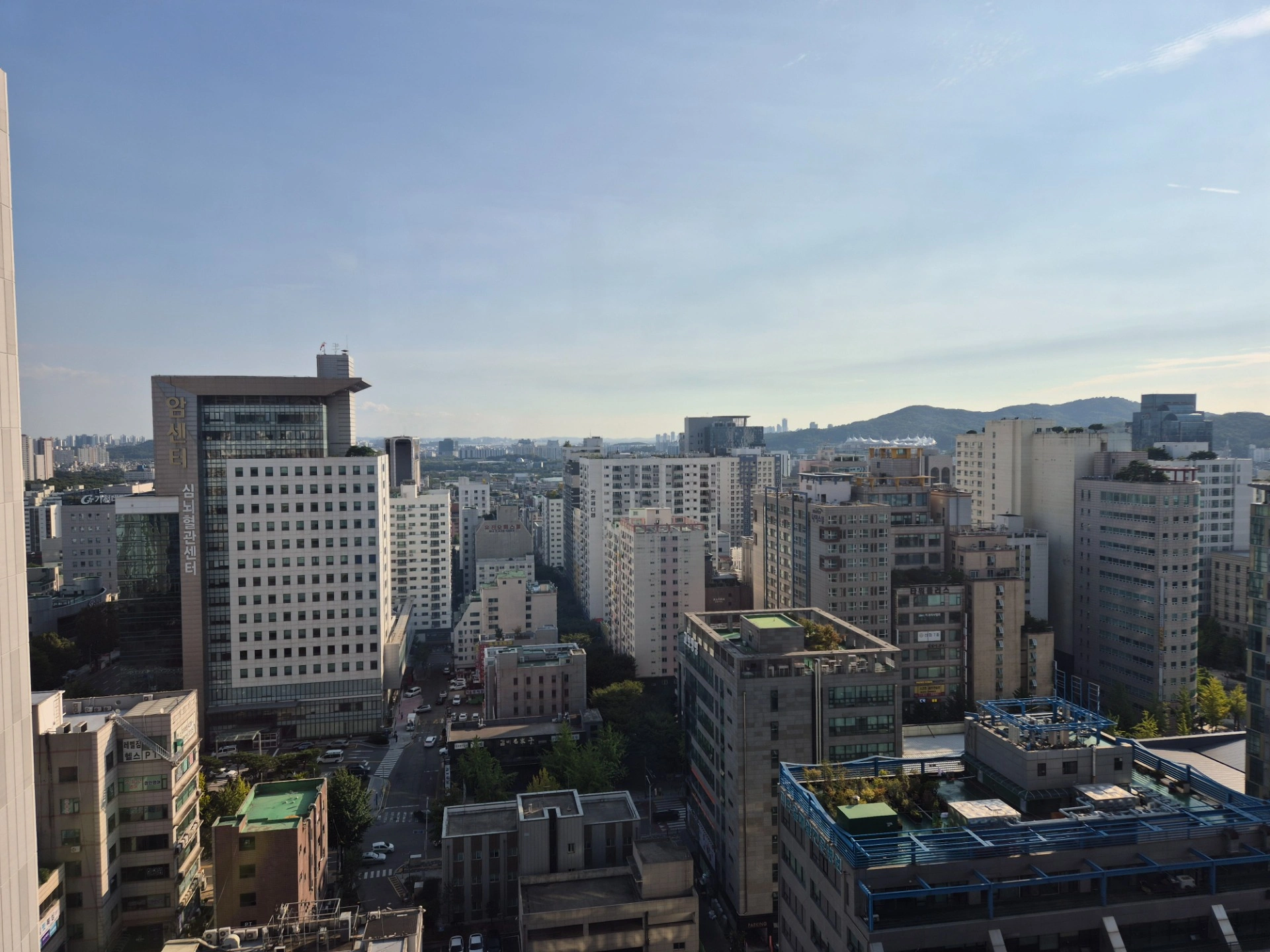 평면도