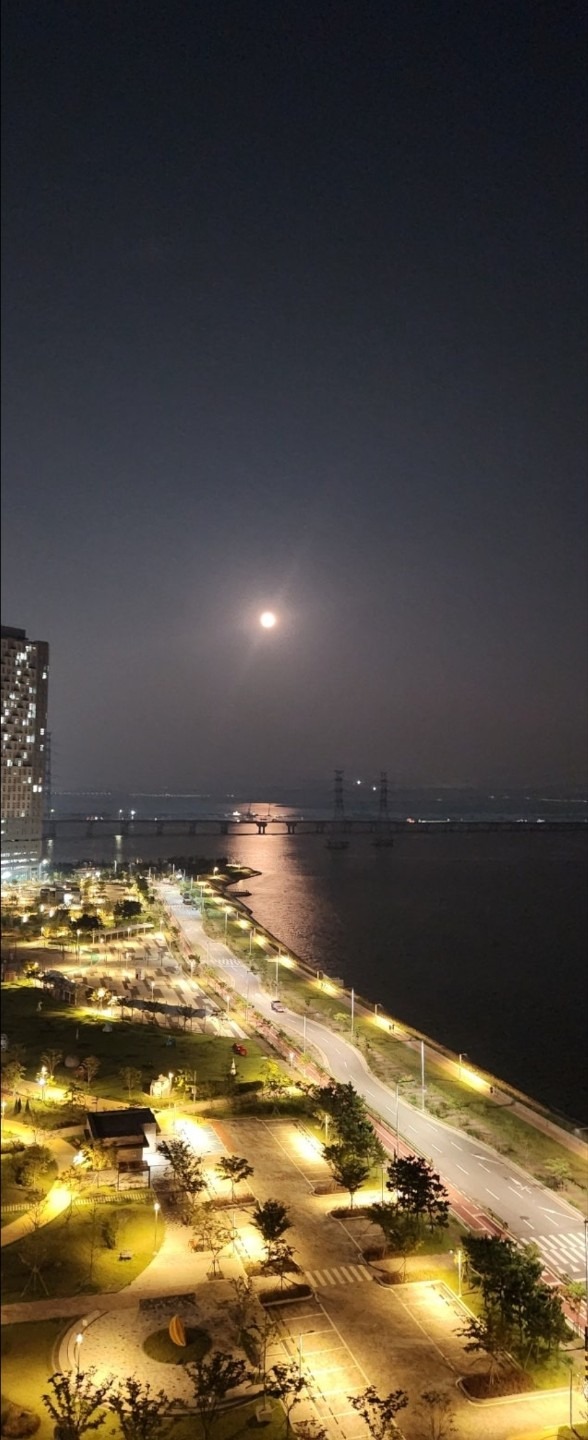 평면도