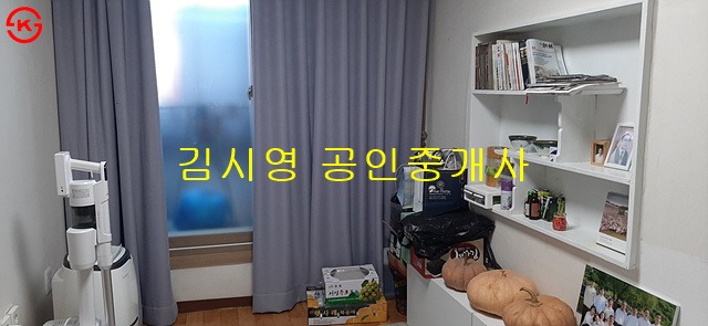 평면도