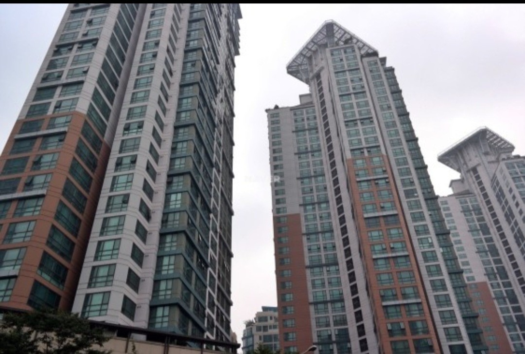 평면도
