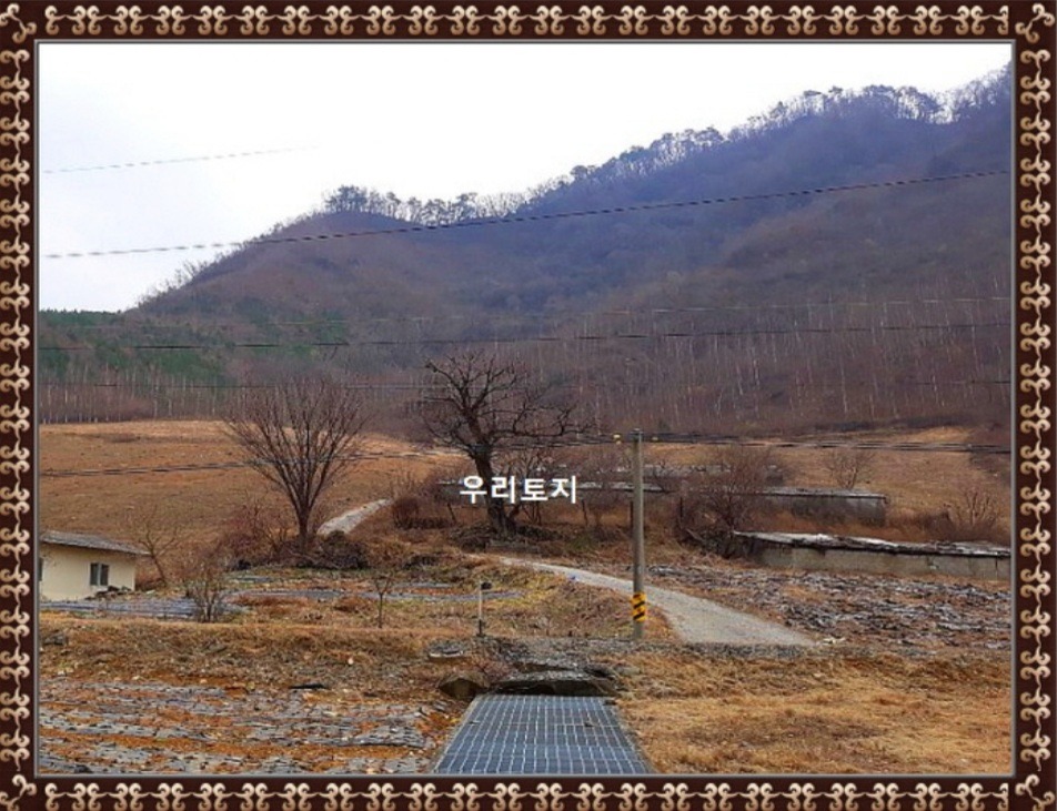 평면도