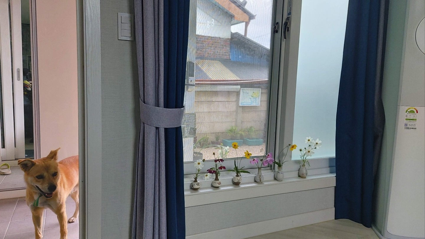 평면도