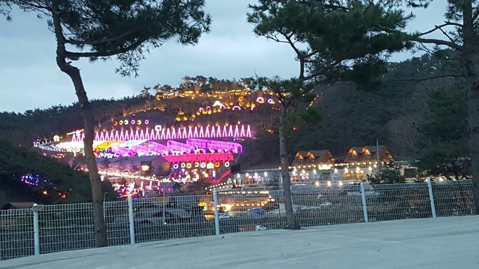 평면도