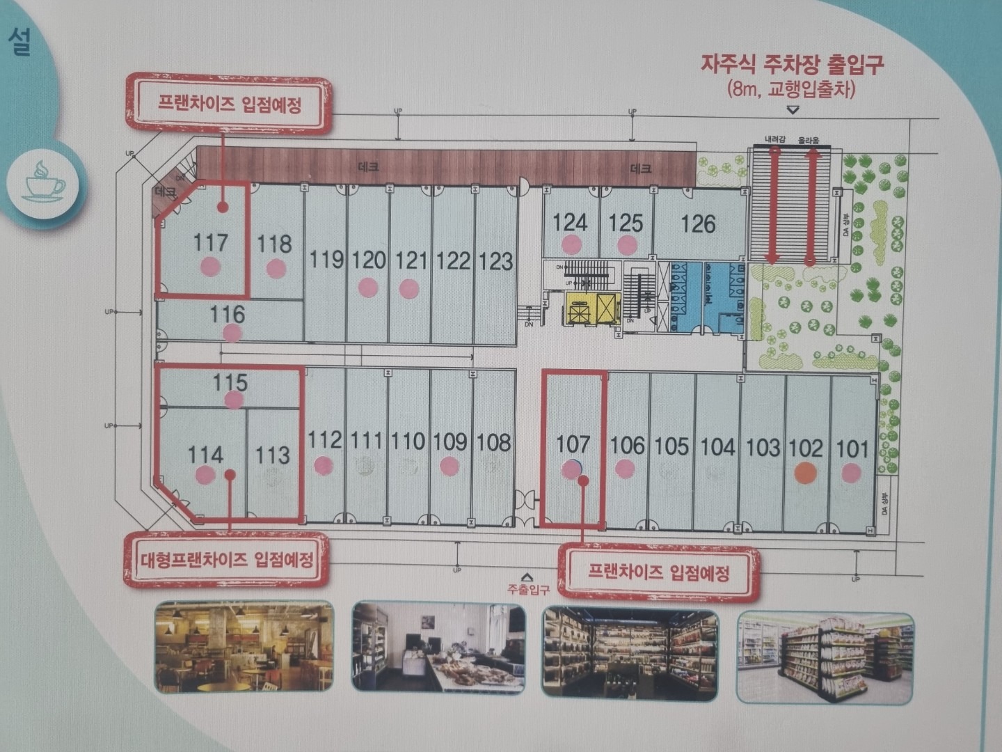 평면도