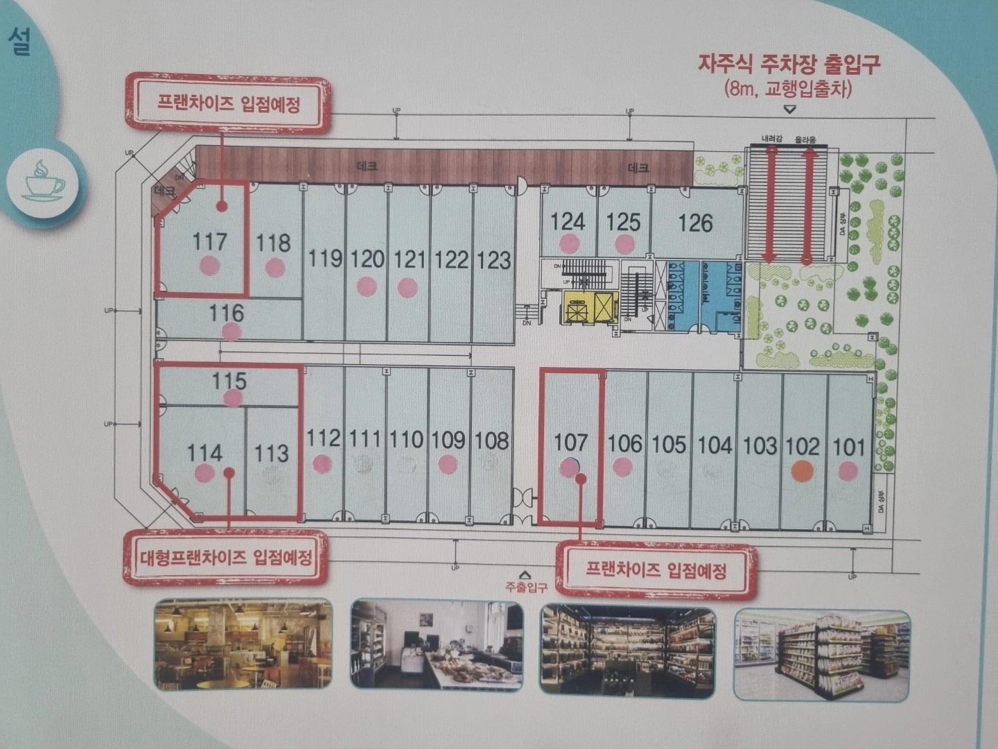 평면도