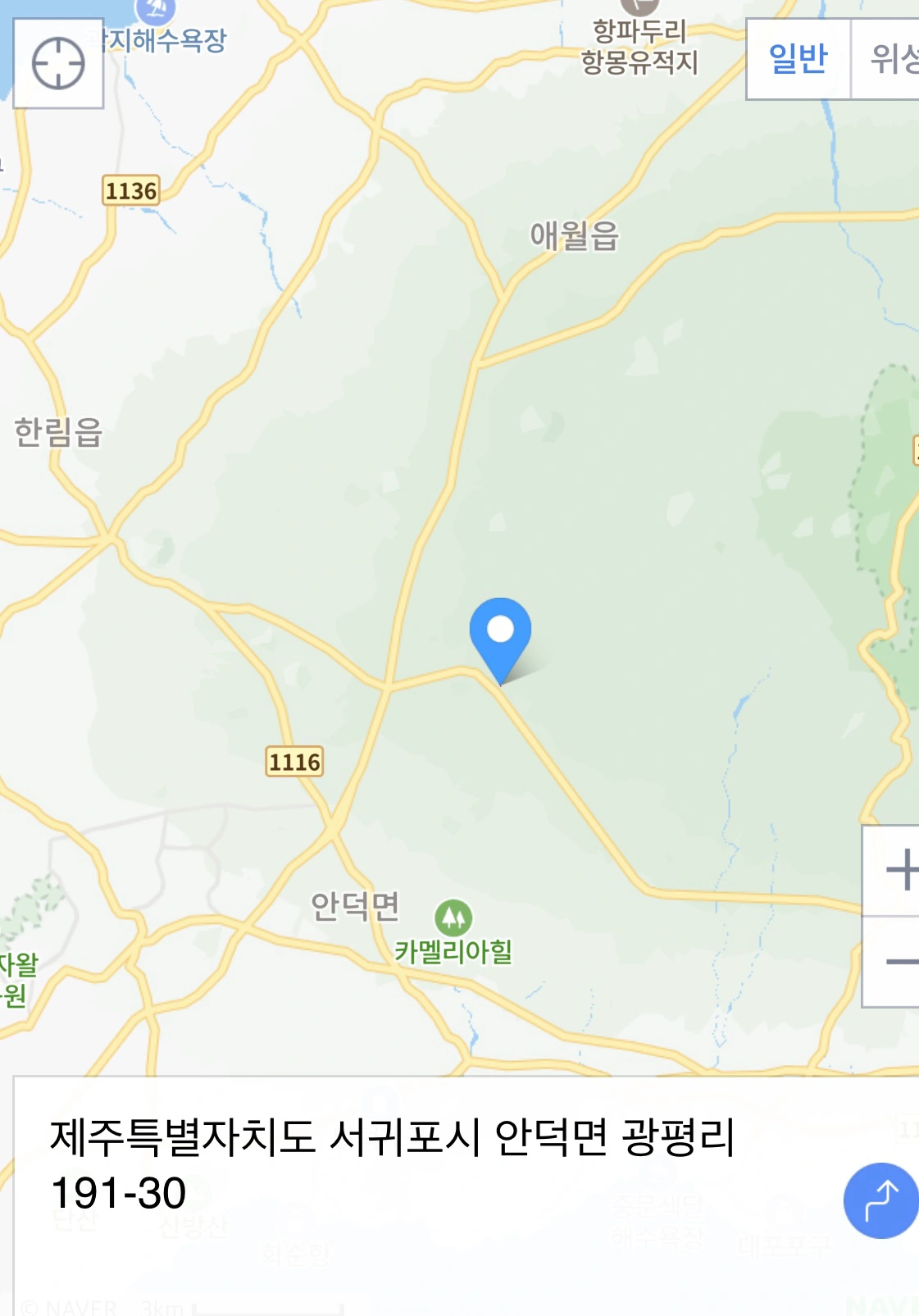 평면도