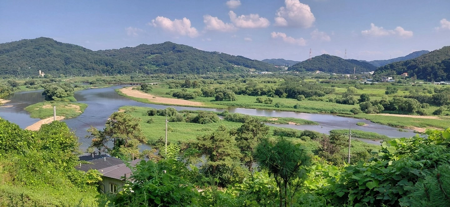 평면도