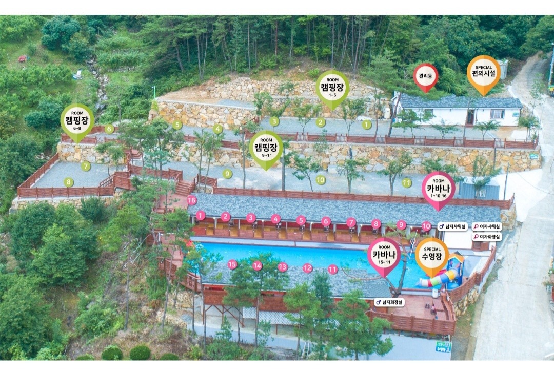 평면도