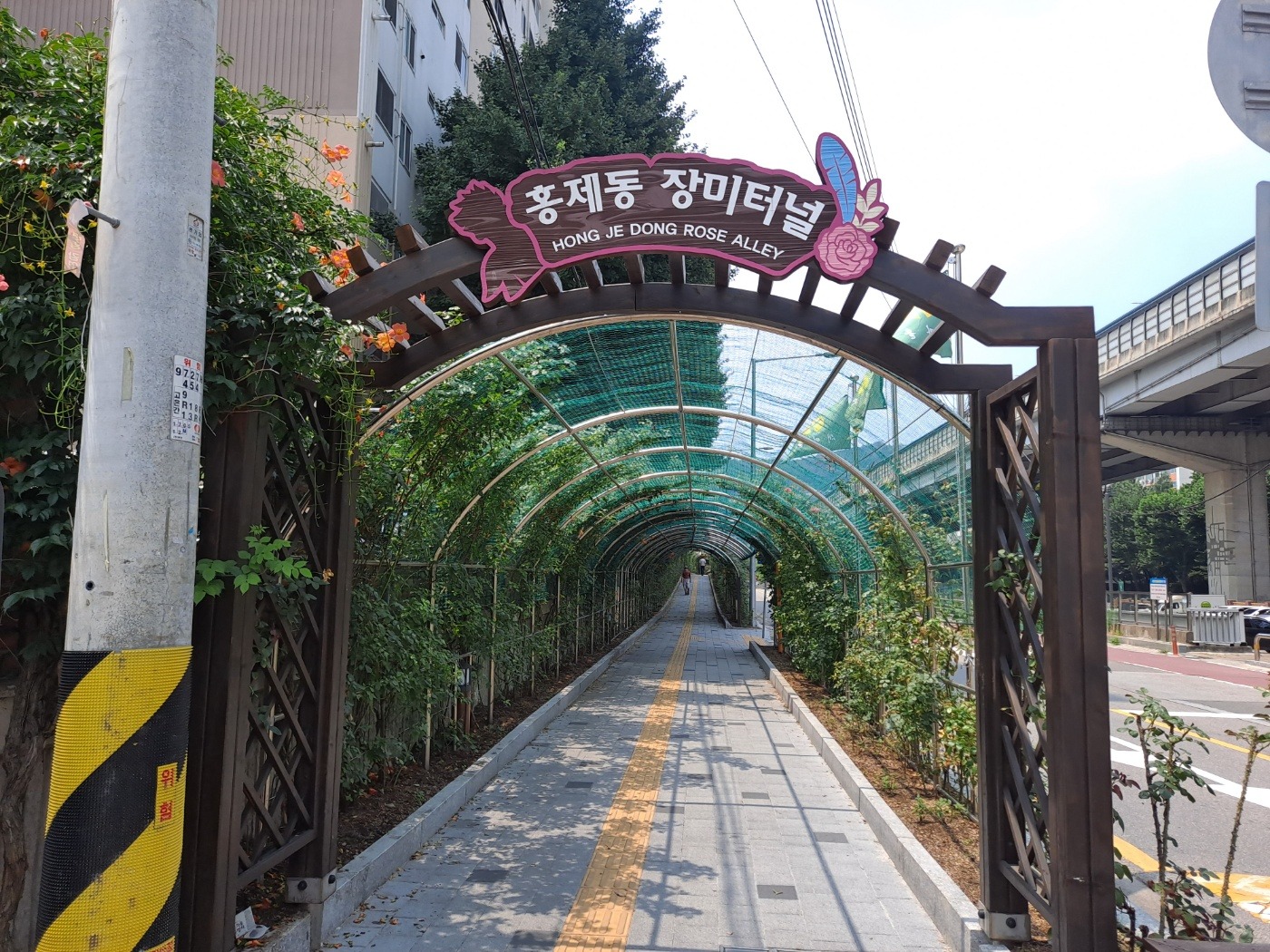 평면도