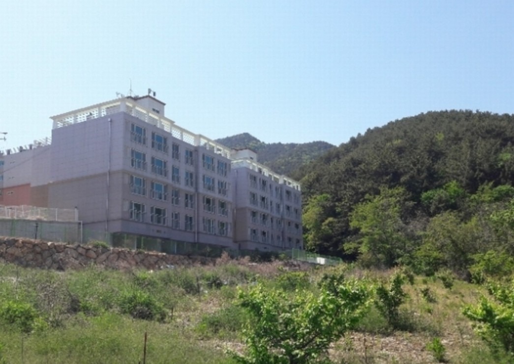 평면도