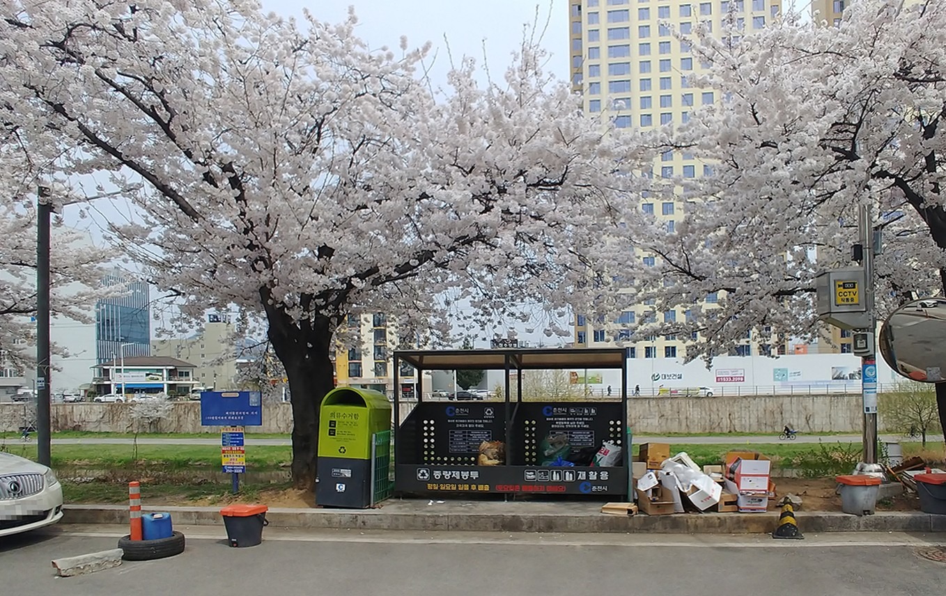 평면도