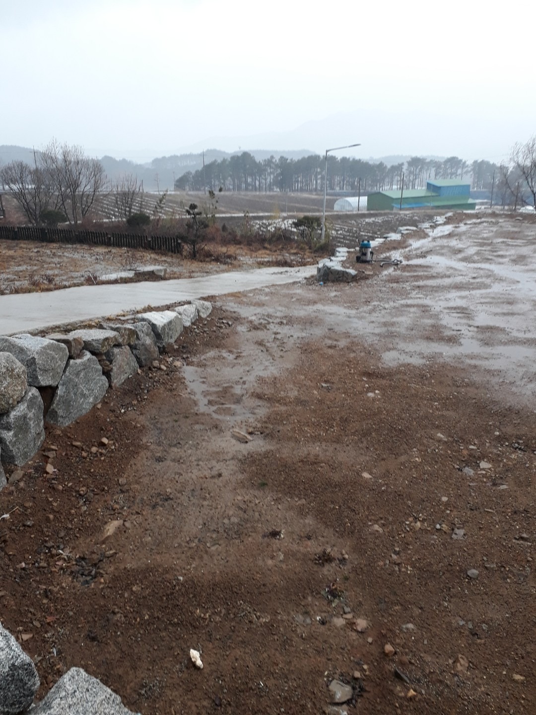 평면도
