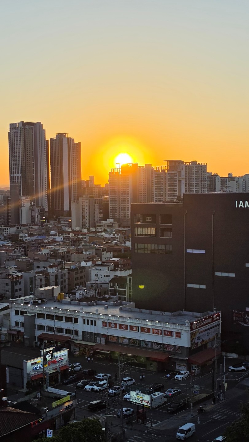 평면도