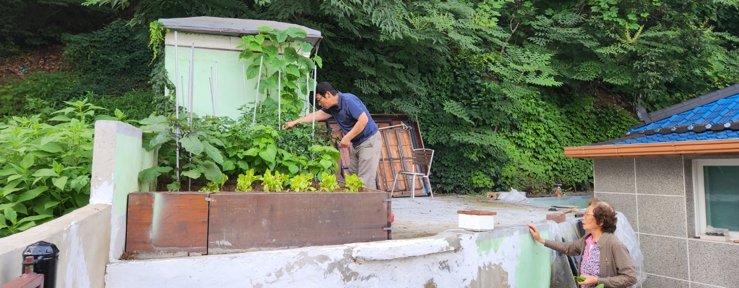 평면도