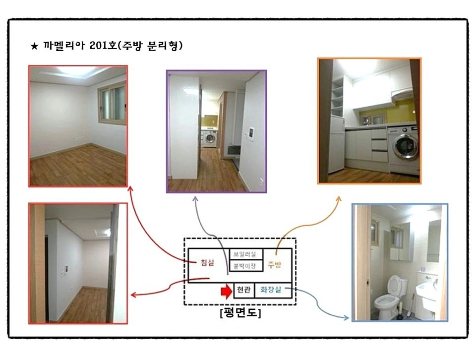 평면도