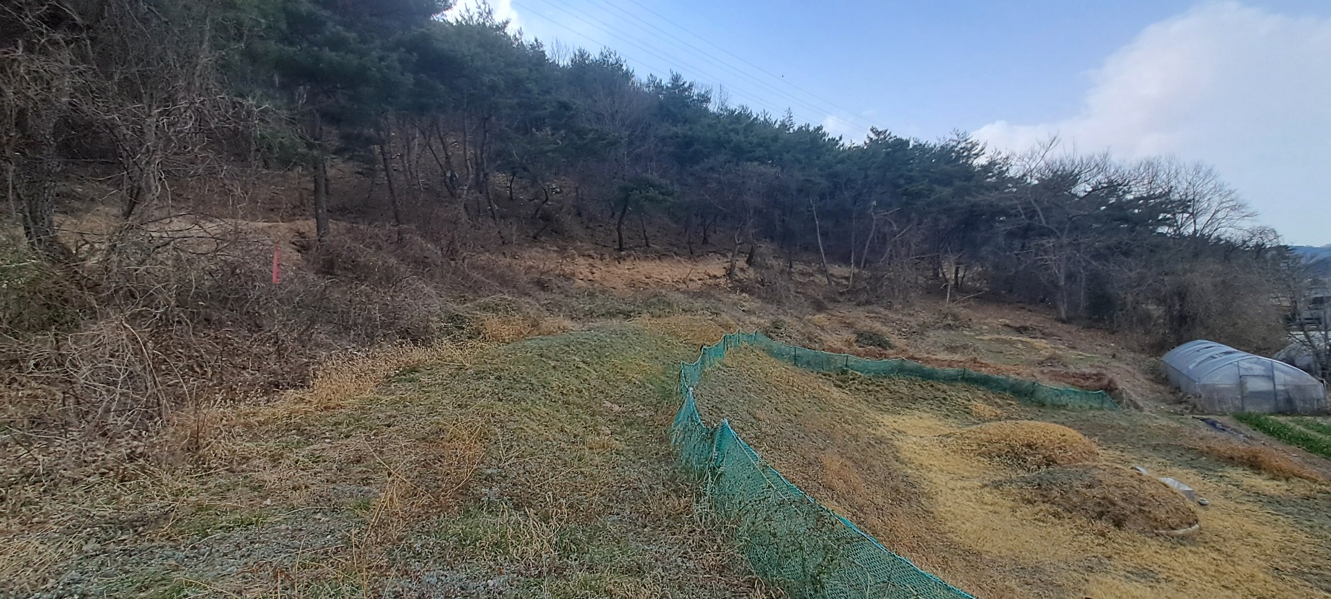 평면도