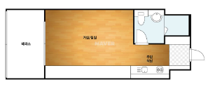 평면도