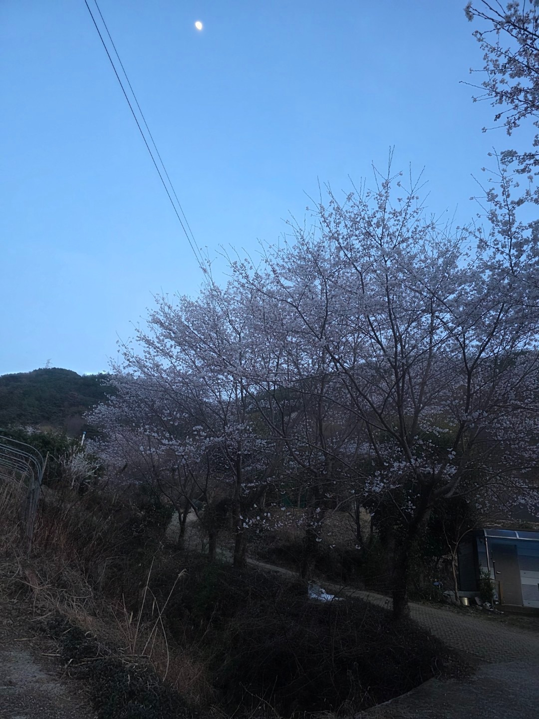 평면도