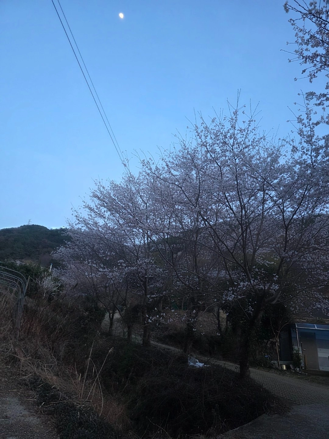 평면도
