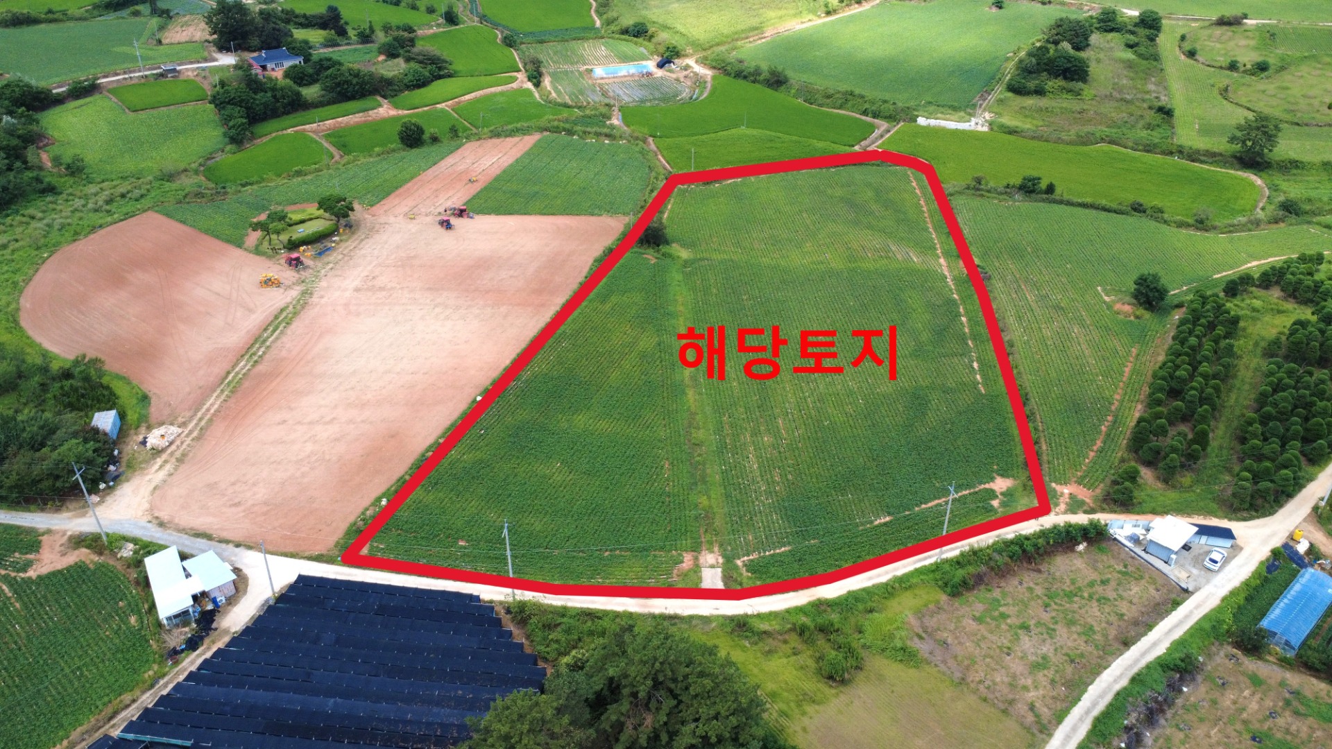 평면도