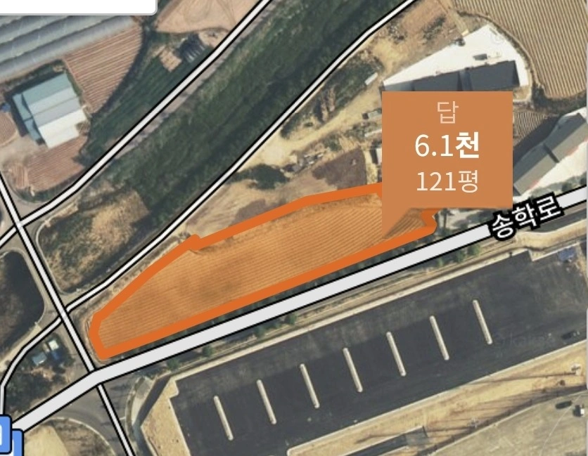 평면도