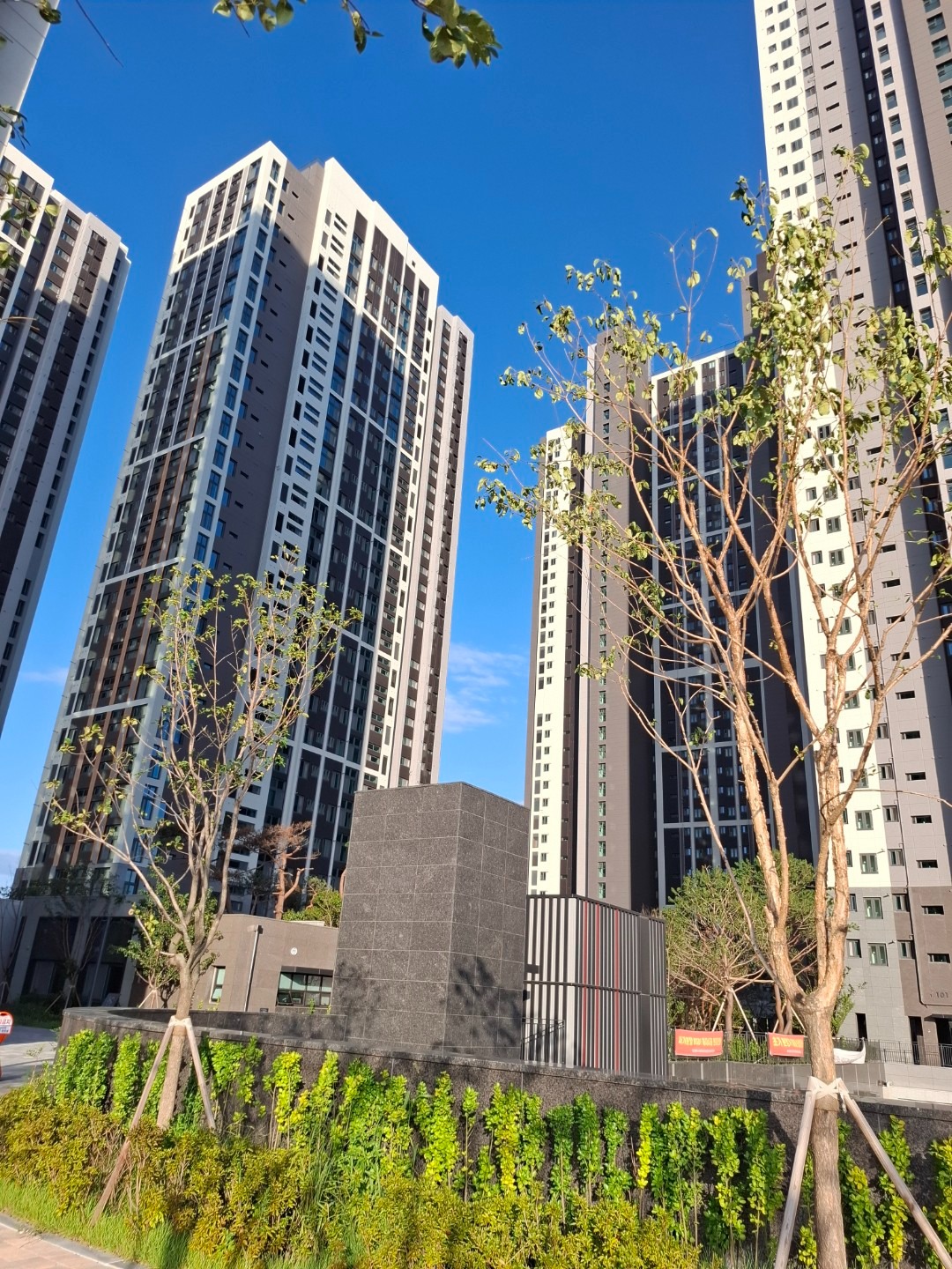 평면도