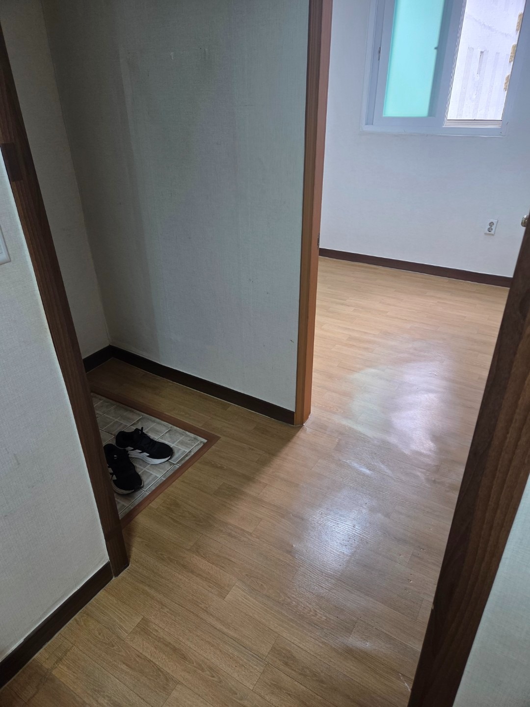 평면도