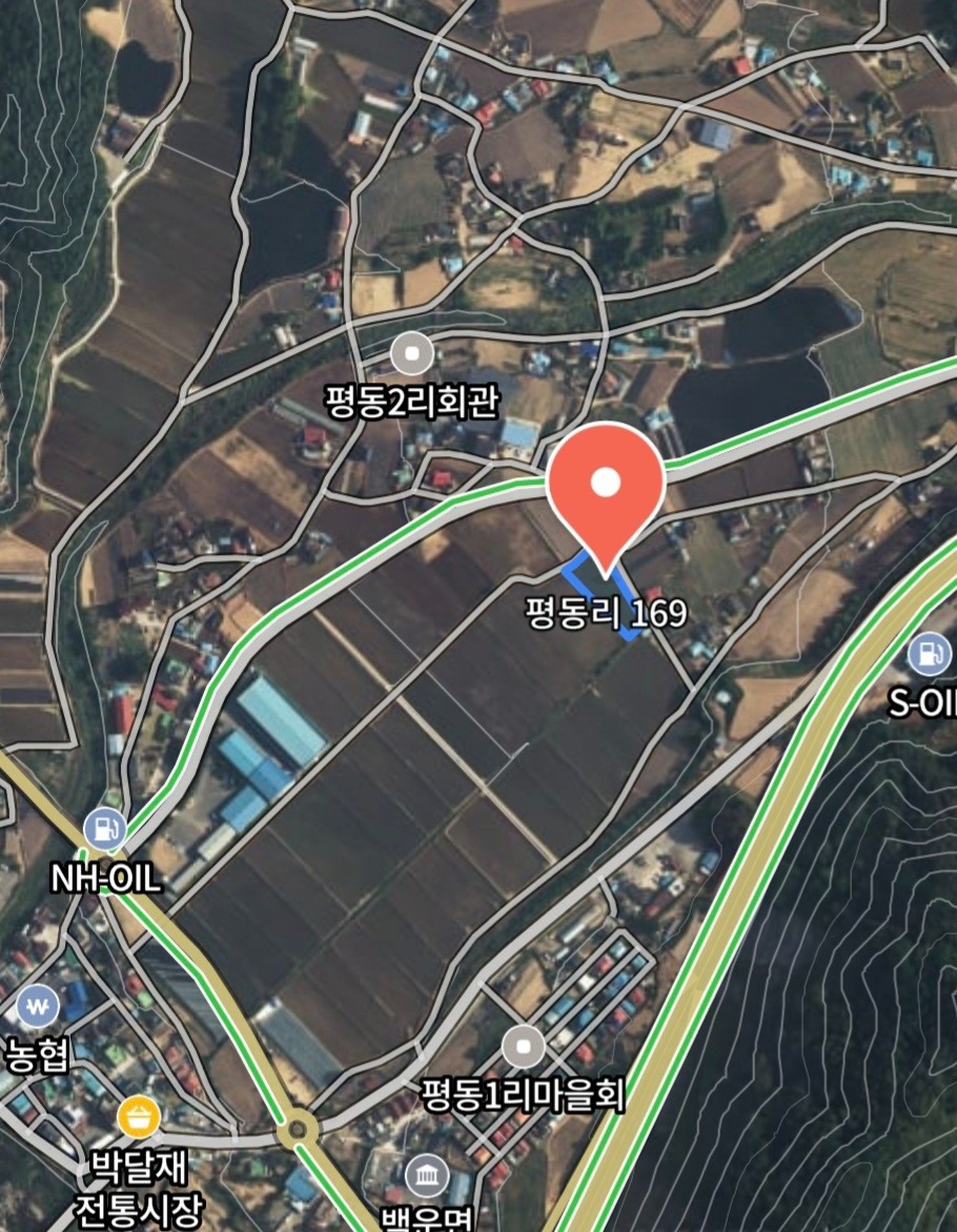 평면도