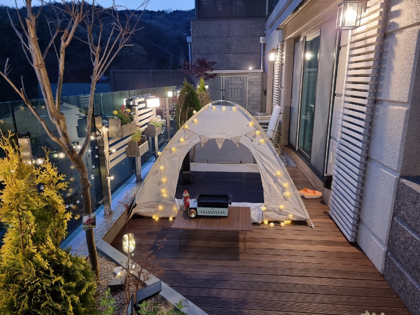 평면도