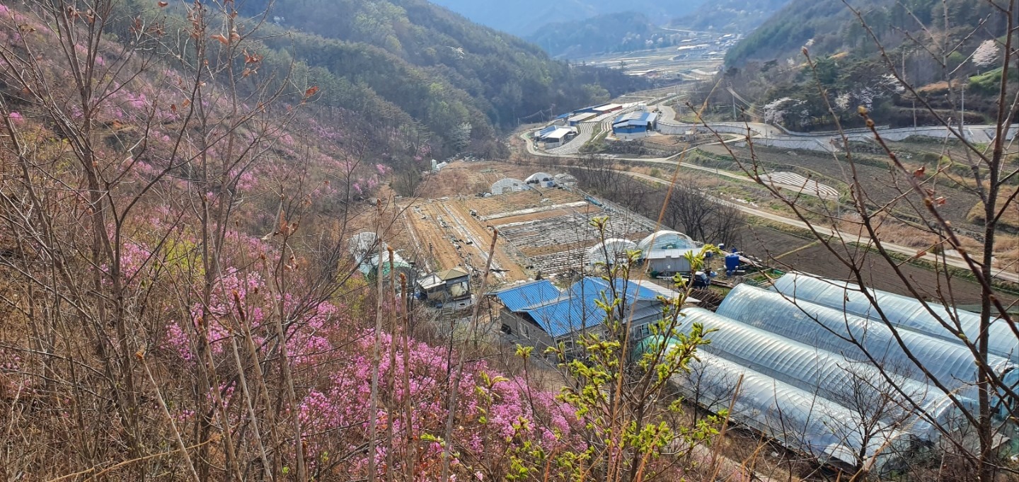 평면도