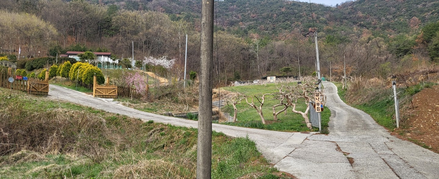 평면도