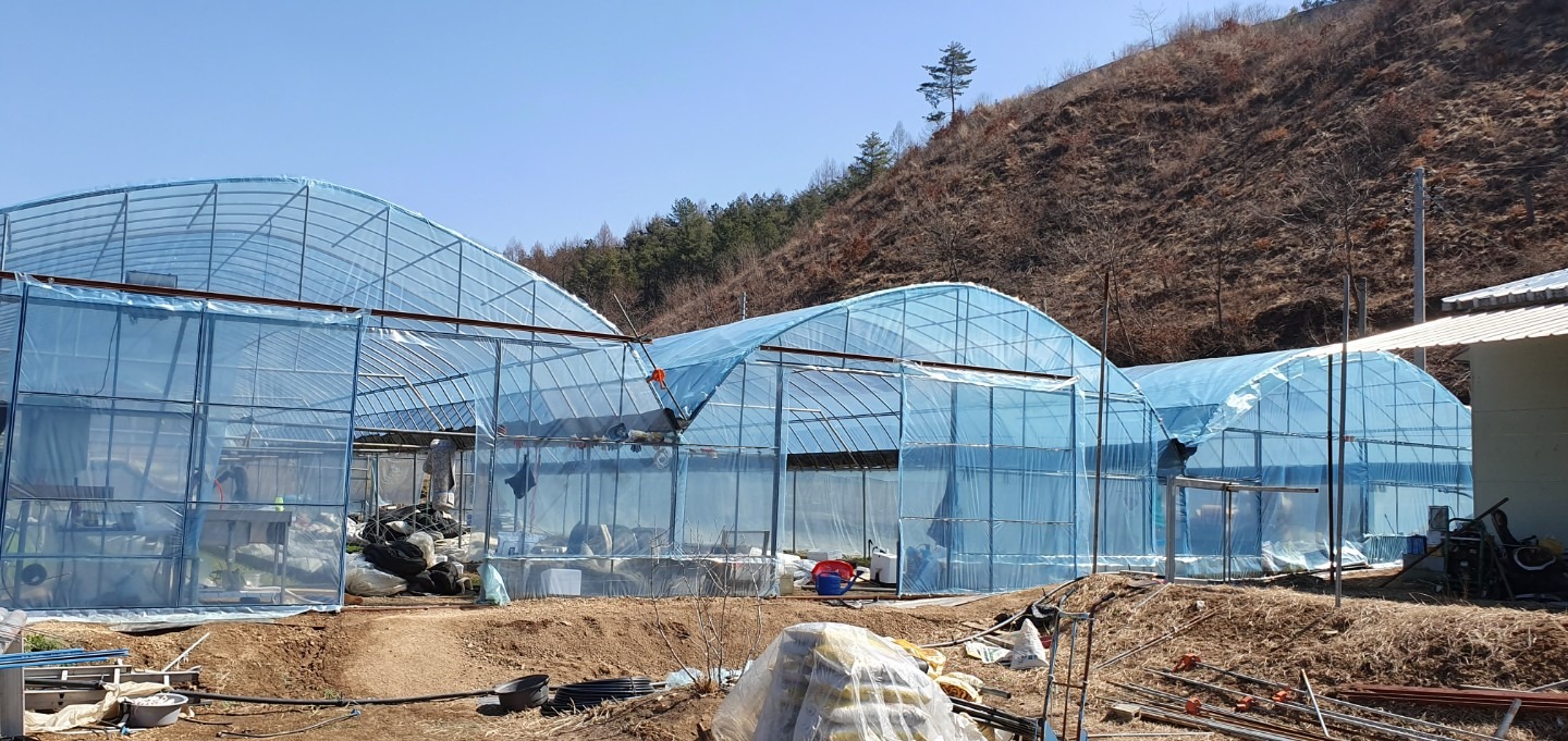 평면도