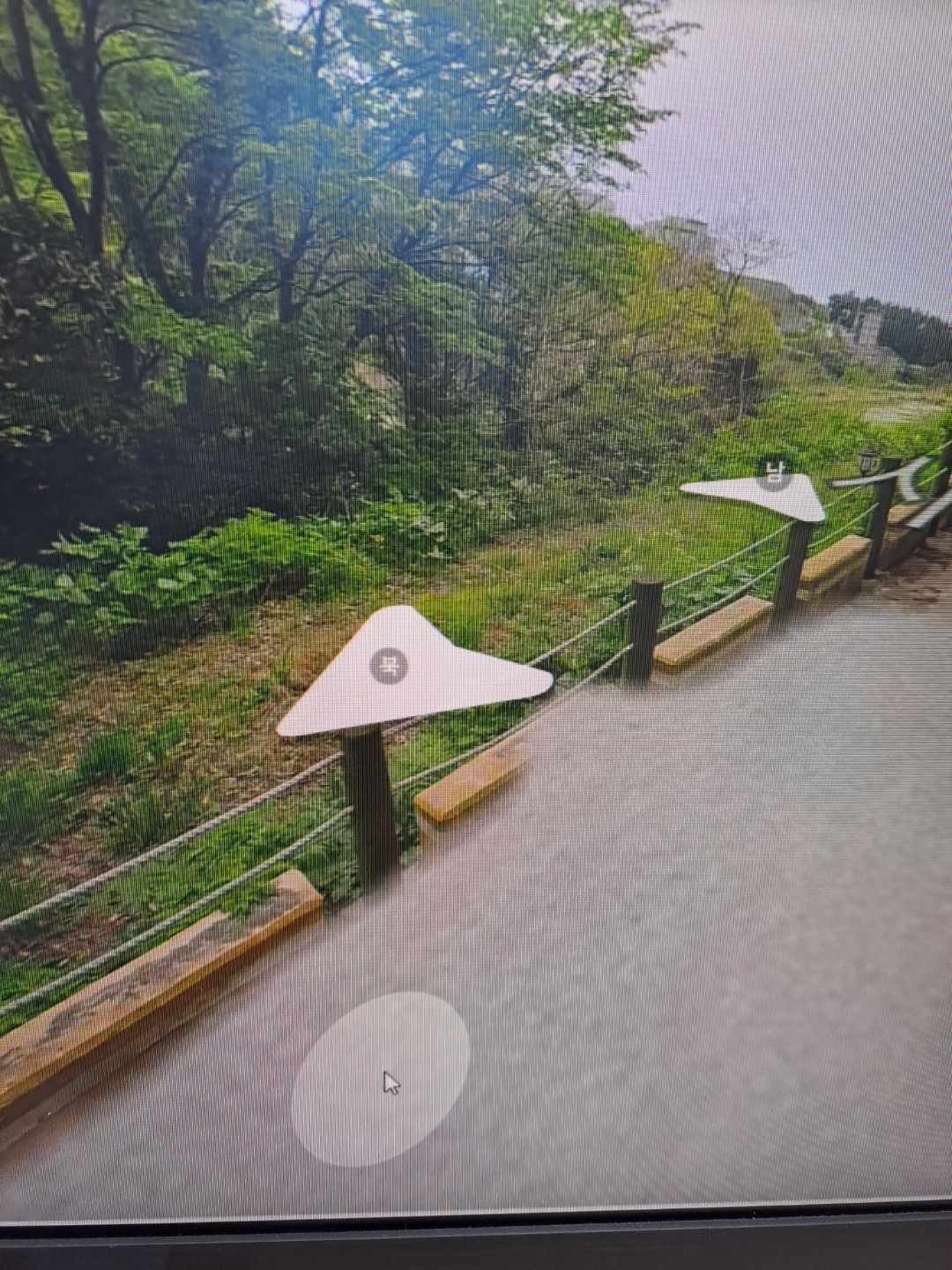 평면도