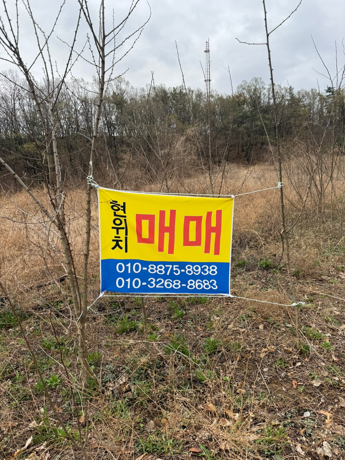 매물 썸네일