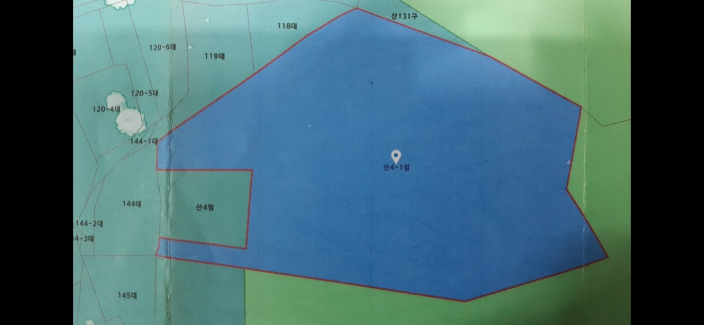 평면도
