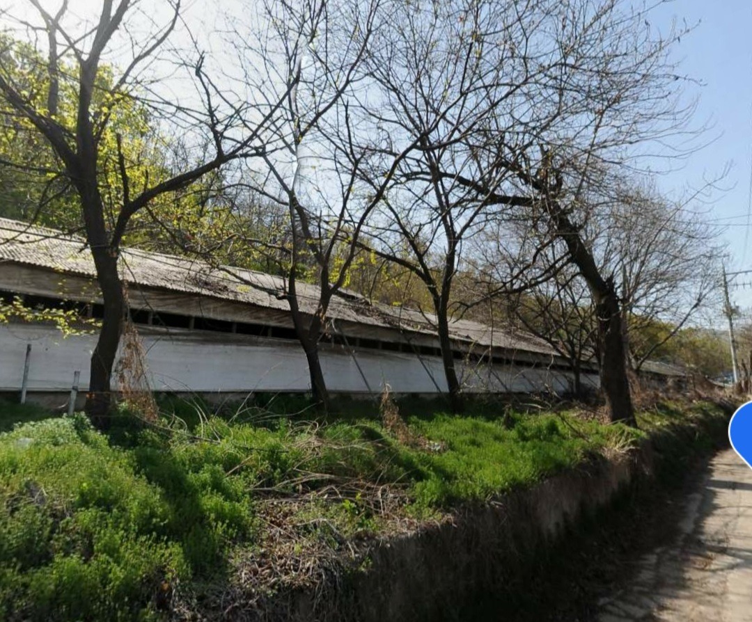 평면도