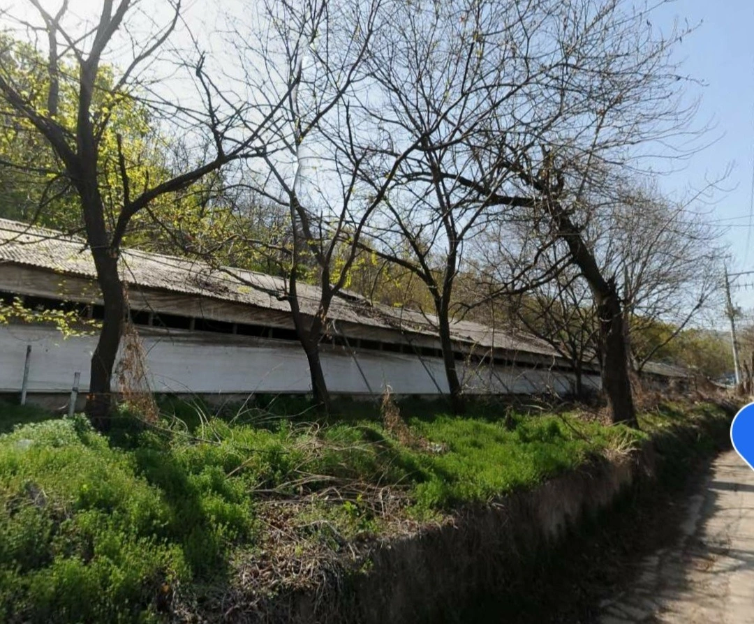 평면도