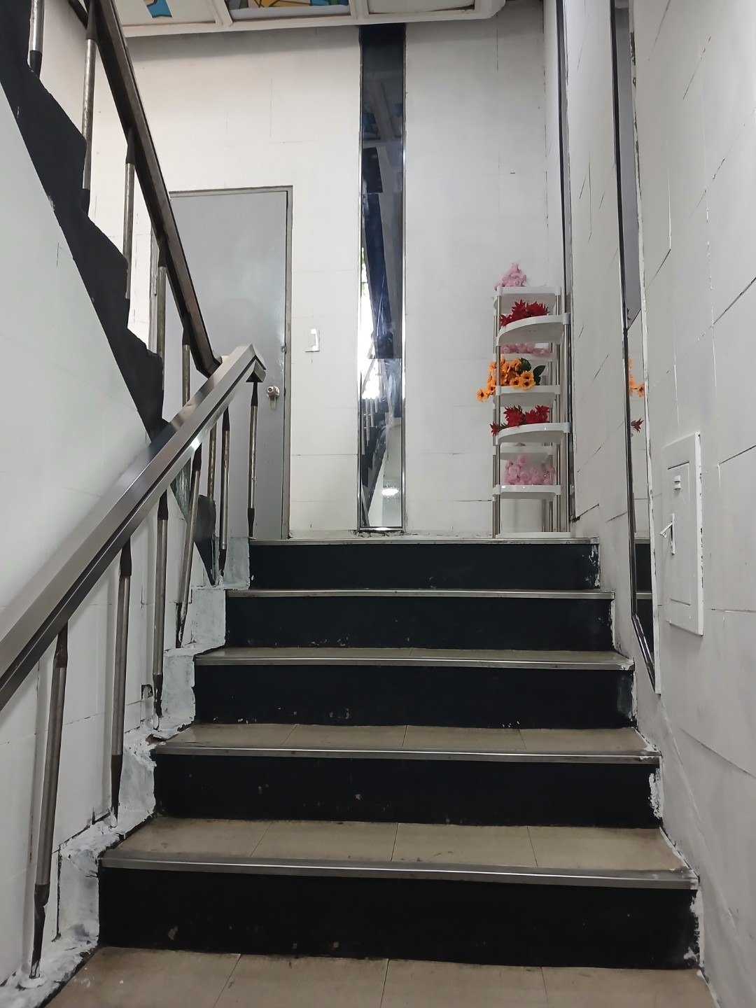 평면도