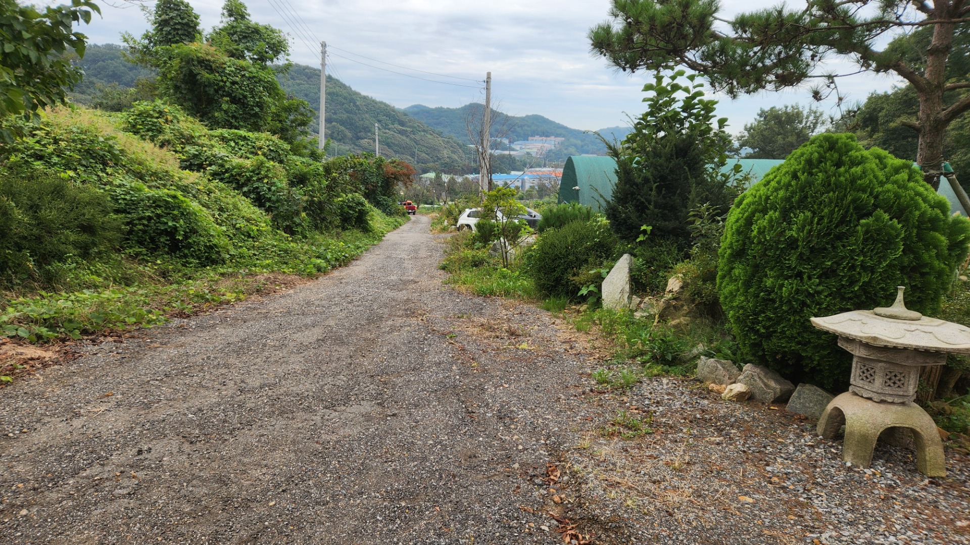 평면도
