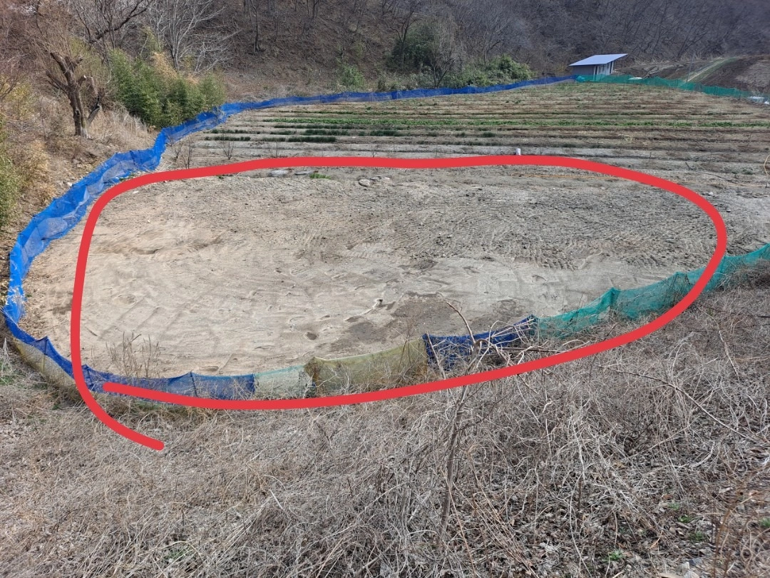 평면도
