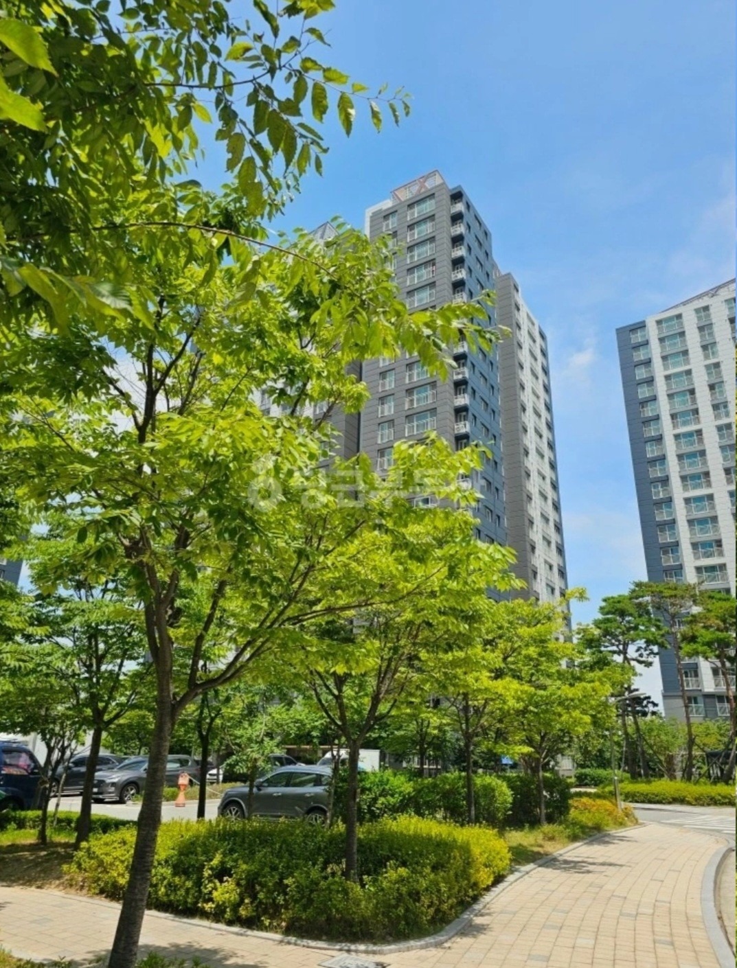 평면도