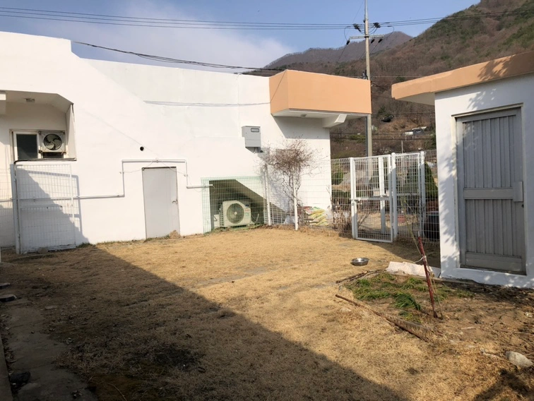 평면도