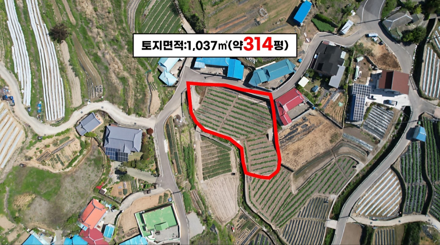 평면도