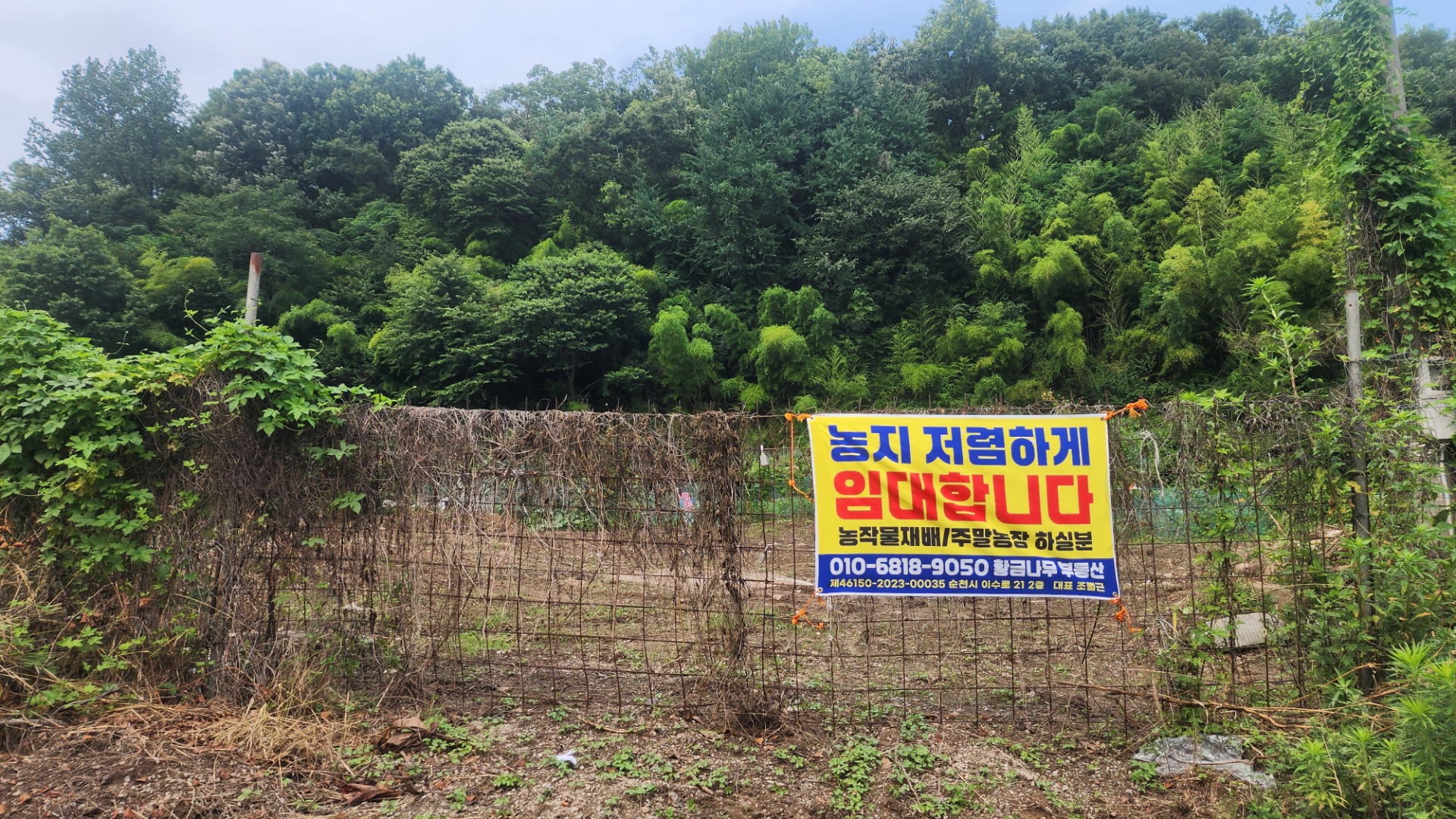 매물 썸네일