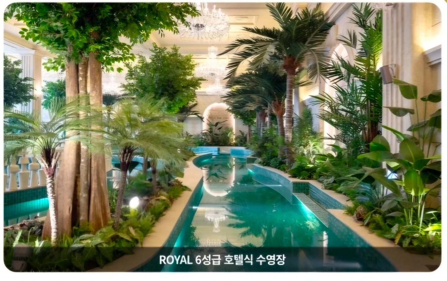 수영장