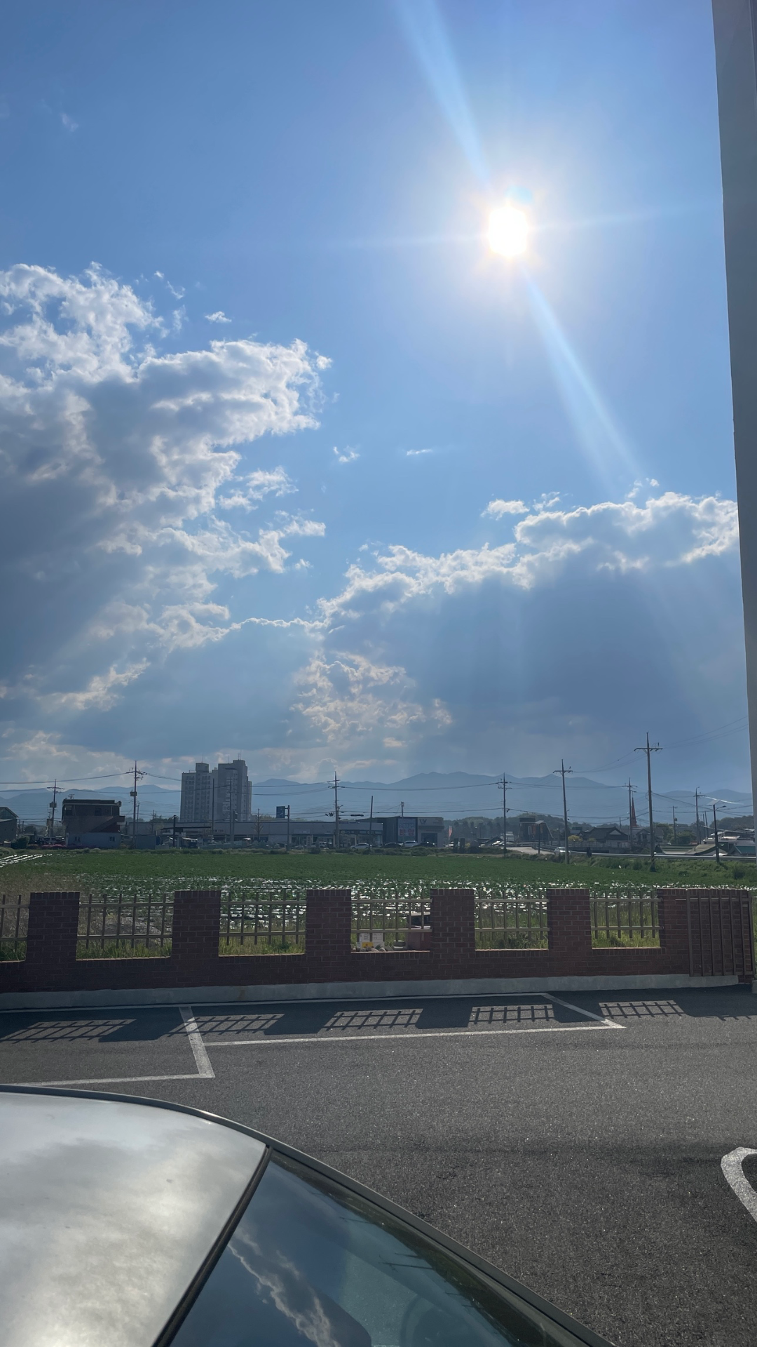 평면도
